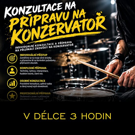 Konzultace přípravy na konzervatoř – 3 hodiny